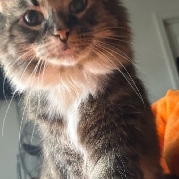 Heart 3 tiered earrings - Picture 2 of 2